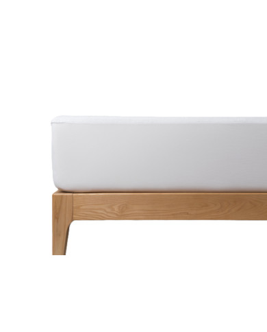 Protector Imp Aloe Vera